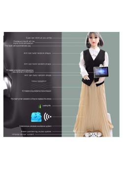 Walking Sex Doll Robot