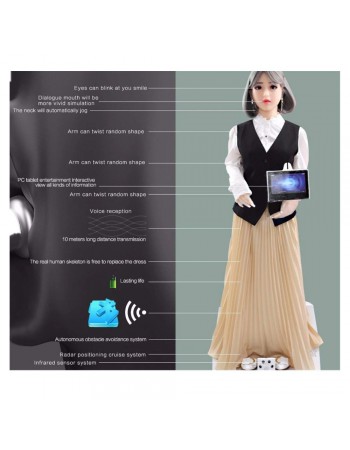 Walking Sex Doll Robot